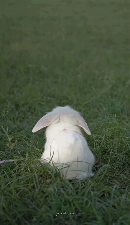 清新好看的简约唯美风景壁纸 20021超有意境的简约壁纸合集