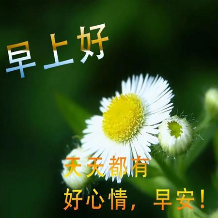 早上好最新图片带字的祝福语 2021最新版早上好祝福图片