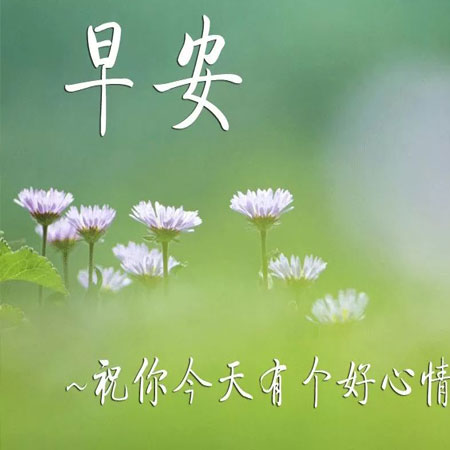 早上好最新图片带字的祝福语 2021最新版早上好祝福图片