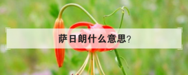 萨日朗什么意思