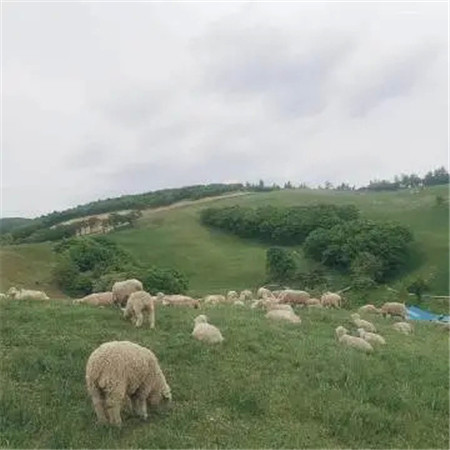 简约但是超级有气质的朋友圈素材 我是个感觉控我感觉你配不上我