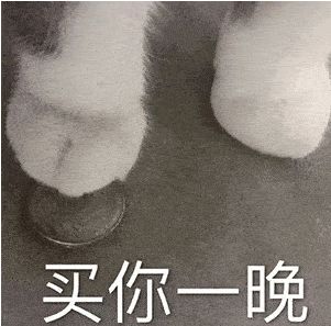 猫咪买你一晚表情包 买你一晚表情包一套