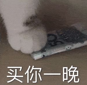 猫咪买你一晚表情包 买你一晚表情包一套