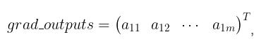 pytorch 中autograd.grad()函数的用法说明