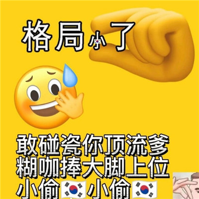 适合在ins和韩国人对线的表情包 超级绝的趣味聊天表情