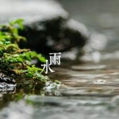 2022雨水节气唯美配图素材 万物复苏希望发芽