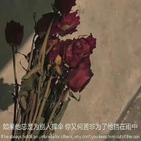 2022背景图片大全唯美带字伤感 所有的光芒都需要时间能看到