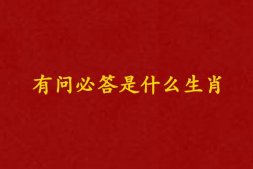 有问必答打一个准确生肖 有问必答是什么生肖