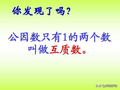 互质数是什么意思,什么叫互质数？