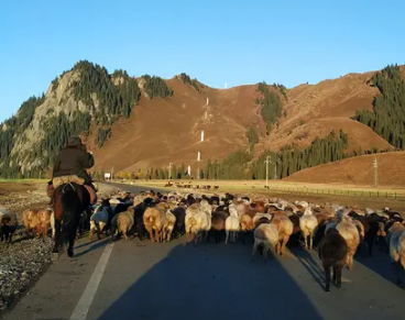 去新疆旅游的开心说说 第一次去新疆的激动说说