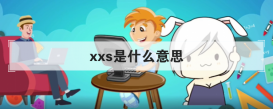 xxs是什么意思