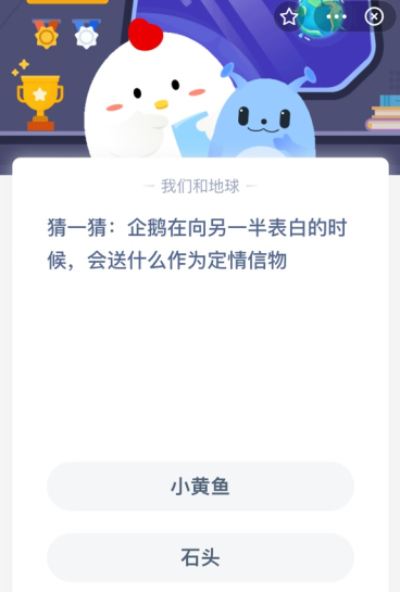 猜一猜:企鹅在向另一半表白的时候，会送什么作为定情信物？