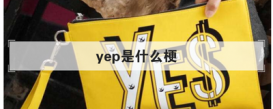 yep是什么梗 饭圈用语yep什么意思