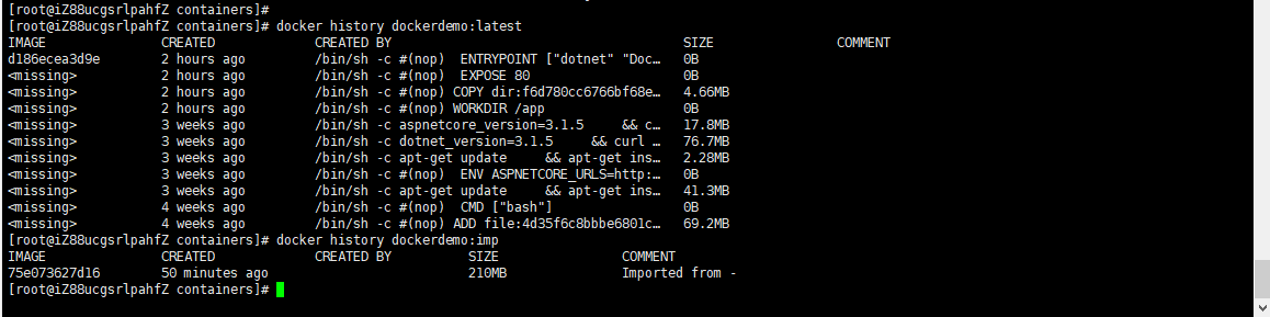 Docker镜像与容器的导入导出操作实践