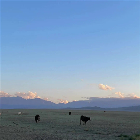 高级感又很简约的风景背景图 生活是晨起暮落日子是柴米油盐