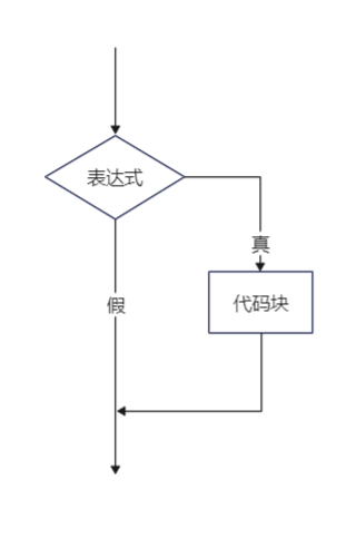 一篇文章带你了解C语言的选择结构