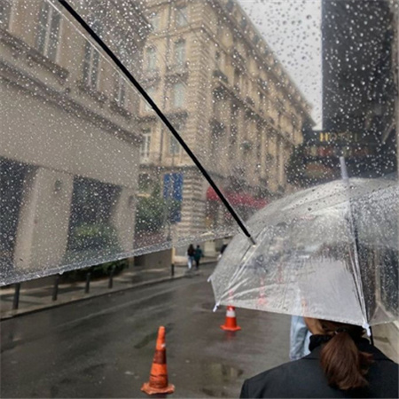 2022秋季雨后个性背景合集 秋季下雨天超有感觉的素材