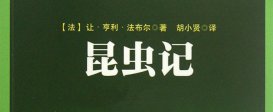 昆虫记每章节的主要内容是什么？（昆虫记每章节内容概括）