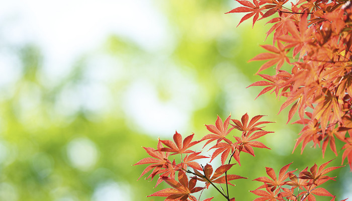 秋分的特点和风俗 秋分节气有什么风俗活动