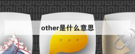 other是什么意思