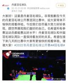 丹麦羽毛球队就推搡中国教练道歉