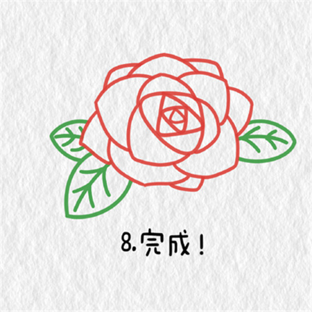 玫瑰花简笔画教程合集简单漂亮 简单又好看的玫瑰花教程