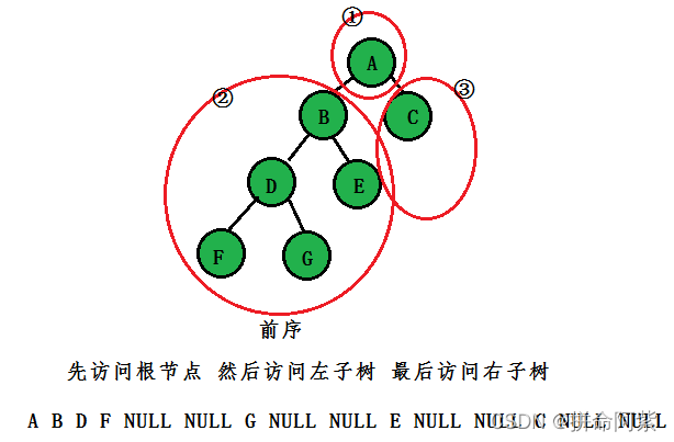 C语言 超详细总结讲解二叉树的概念与使用