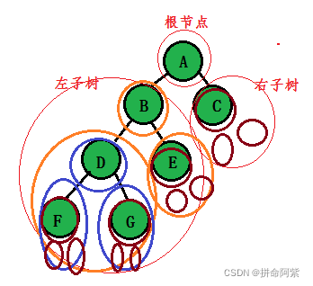 C语言 超详细总结讲解二叉树的概念与使用