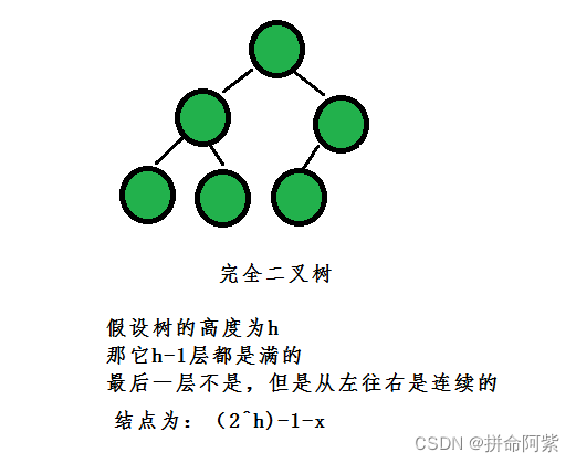 C语言 超详细总结讲解二叉树的概念与使用