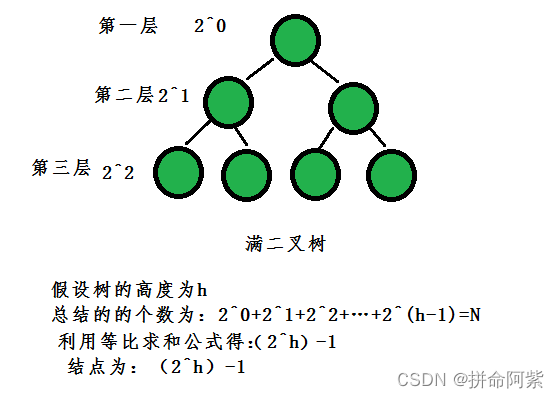 C语言 超详细总结讲解二叉树的概念与使用