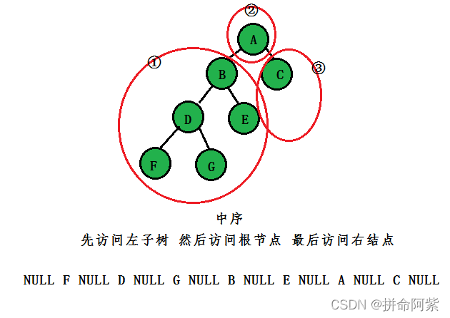 C语言 超详细总结讲解二叉树的概念与使用