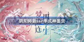 阴阳师新式神季怎么样 阴阳师新ssr季式神鉴赏