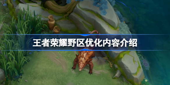 王者荣耀野区优化了那些内容 王者荣耀野区优化内容介绍
