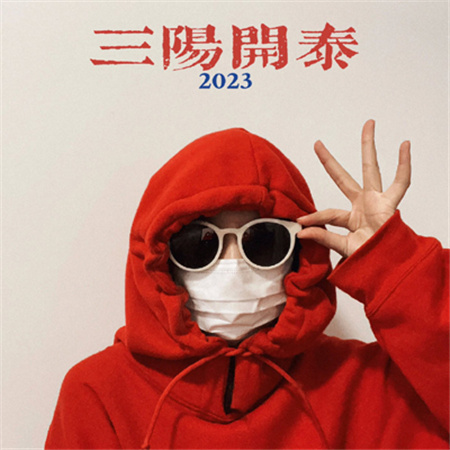 2022新年拍照姿势最新合集 不露脸手势祝福拍照