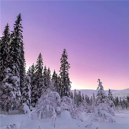 美的不像话冬日雪景背景图 心情再不好也不可以对重要的人冷冰冰