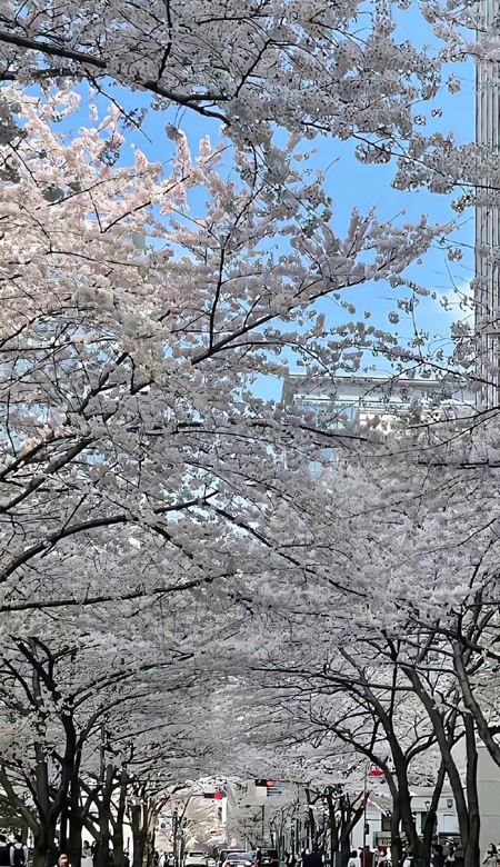 壁纸高清全屏高级感风景 你闪闪发亮的同时也要平平安安