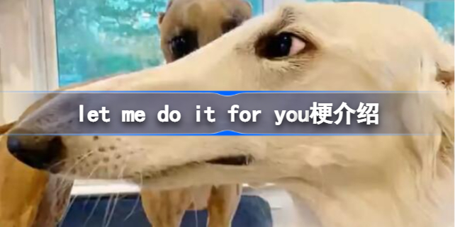 ​let me do it for yo​u是什么梗 ​let me do it for yo​u是什么意思