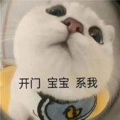 2023可爱的猫咪开门表情合集 可爱到没边的好玩表情合集