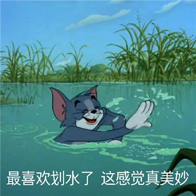 猫和老鼠摆烂躺平表情 就让我美美的躺平就好了