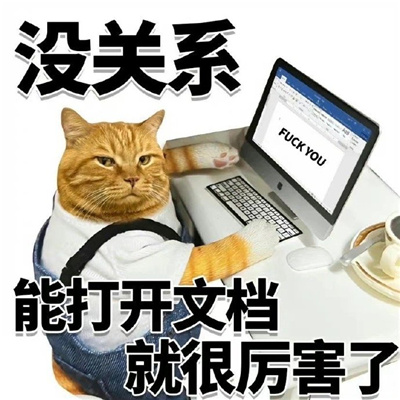 猫猫表情最近很火很好笑 没关系又活一天已经很厉害了