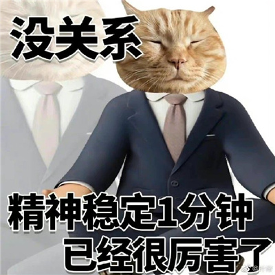 猫猫表情最近很火很好笑 没关系又活一天已经很厉害了