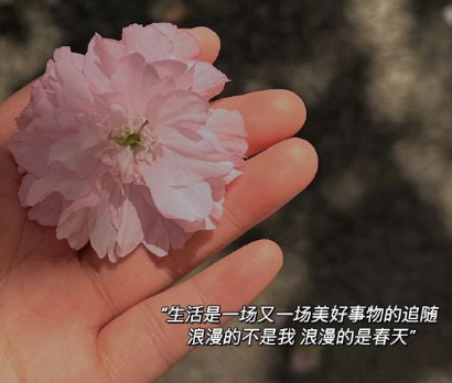 婚姻心灰意冷的签名 婚姻心灰意冷的签名