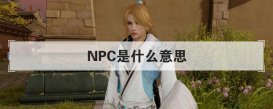 NPC是什么意思