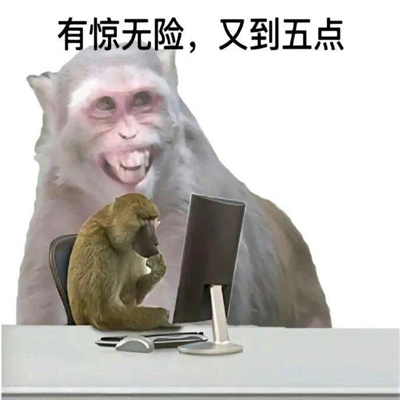 笑死人的猴子表情合集 有谁能拒绝猴子表情呢