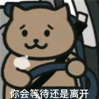 杰伦歌词猫猫表情包 周杰伦歌词棕色猫表情合集