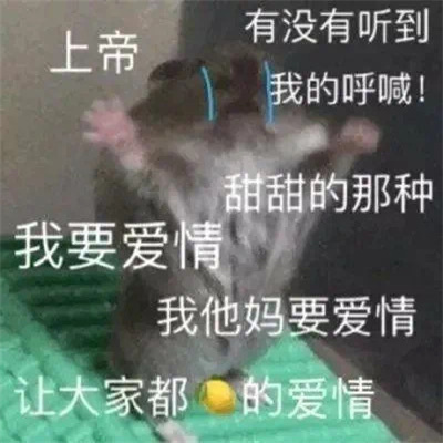 单身狗的专用表情包 做狗不好吗为什么要谈恋爱