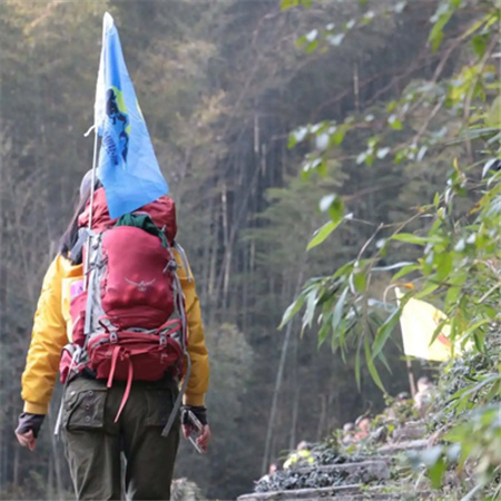 一个人爬山的背影图片 阳光明媚宅家不如爬山