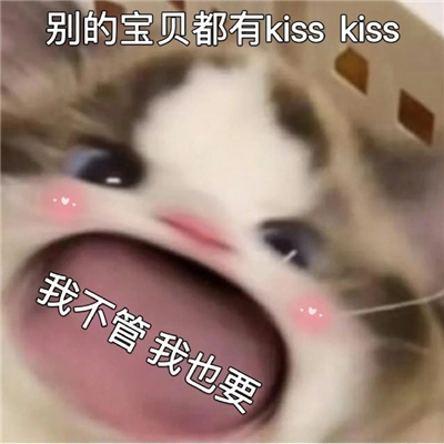 万能聊天且好用的表情很实用 别的宝贝都有kiss我不管我也要