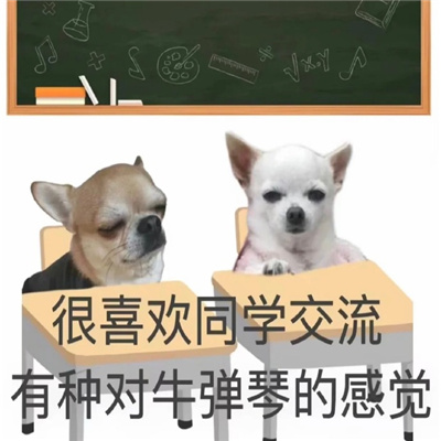 2023最近超火开学状态表情 不甘心但依旧美丽出席