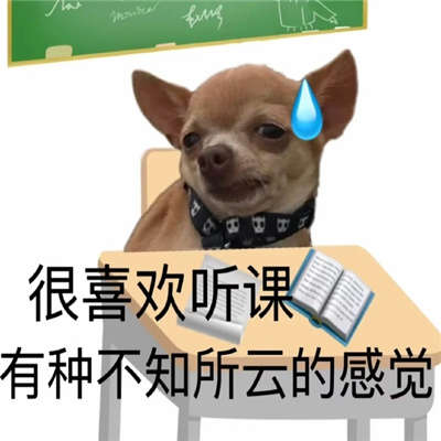 2023最近超火开学状态表情 不甘心但依旧美丽出席